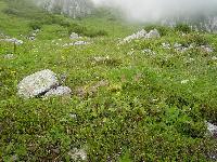 eiseikannrinavi.jpg