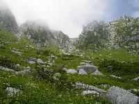 makinavi.jpg